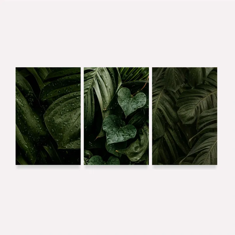 Quadro Plantas Naturais Folhagem Maravilhosa Gotas de Chuva