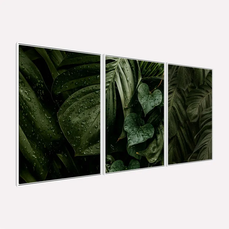Quadro Plantas Naturais Folhagem Maravilhosa Gotas de Chuva