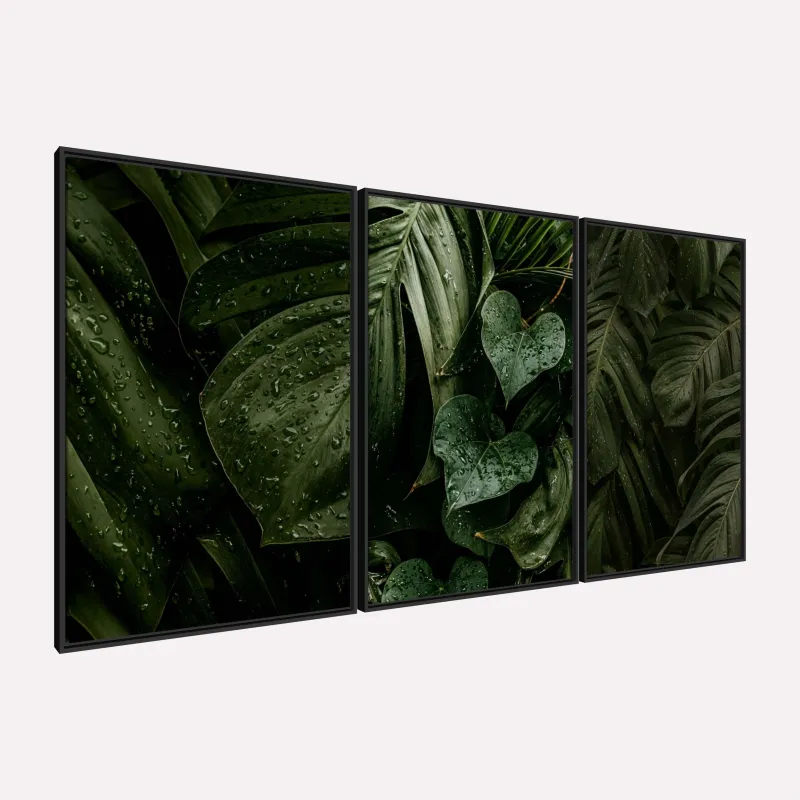 Quadro Plantas Naturais Folhagem Maravilhosa Gotas de Chuva