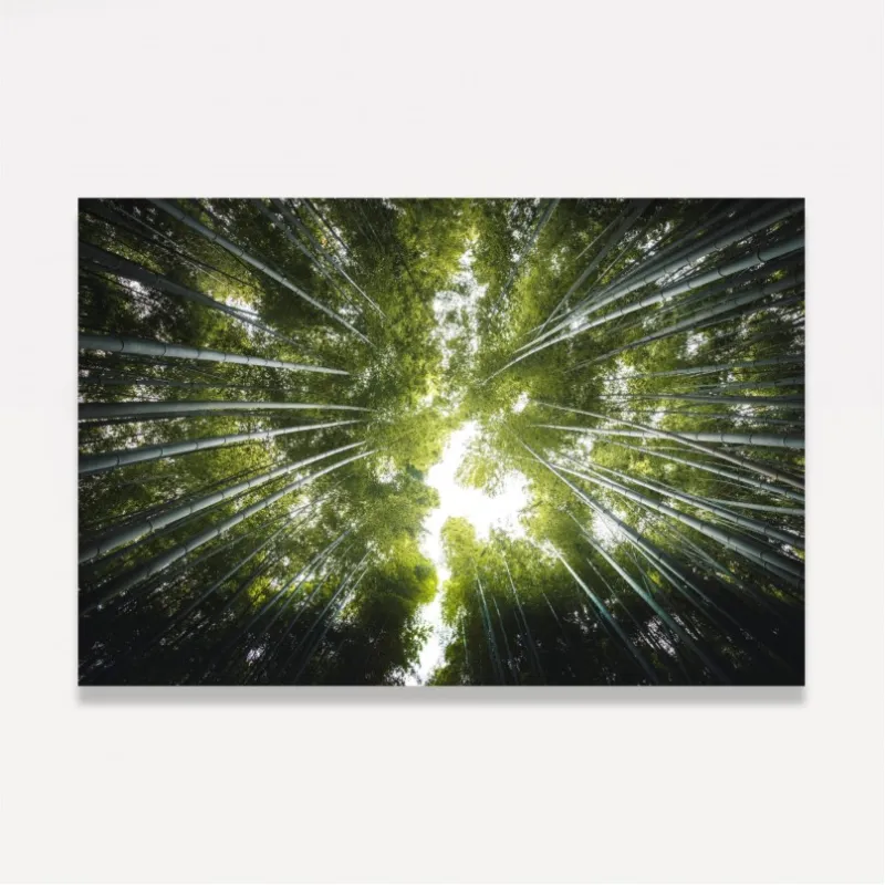 Quadro Floresta de Bambus Folhas Verde