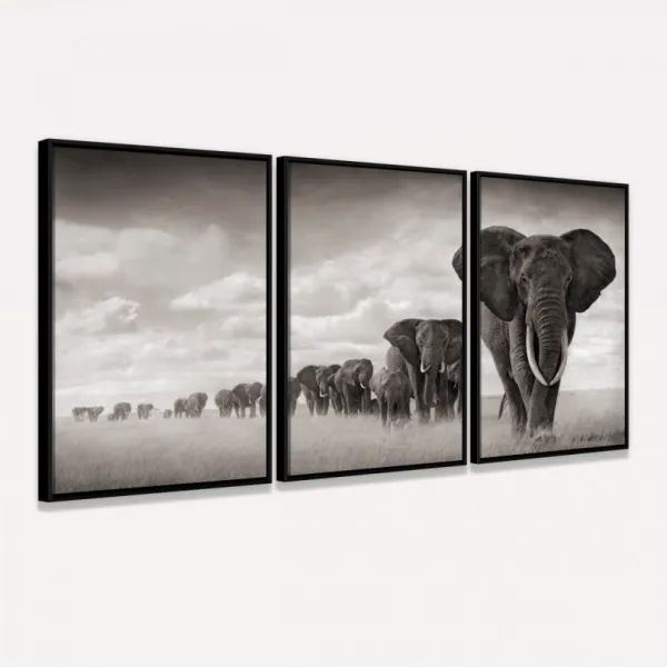 Quadros Decorativos Manada De Elefantes